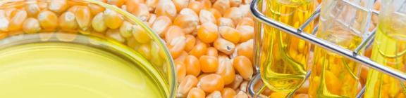 Ethanol Special Policy