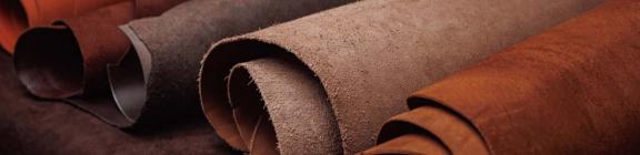 Indian Footwear and Leather Development Programme